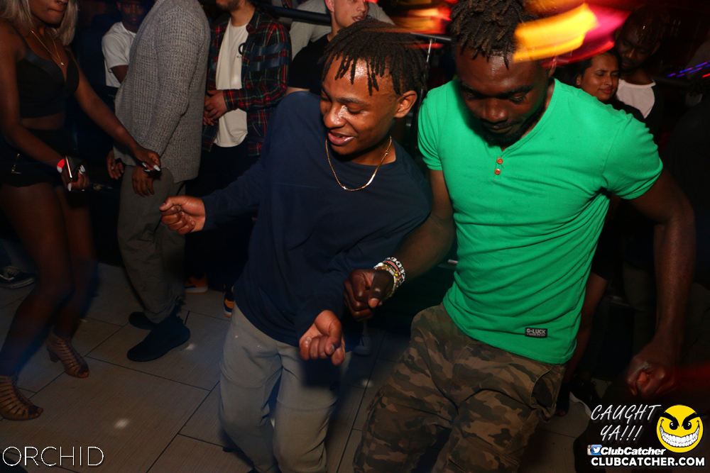 Orchid nightclub photo 66 - June 21st, 2019