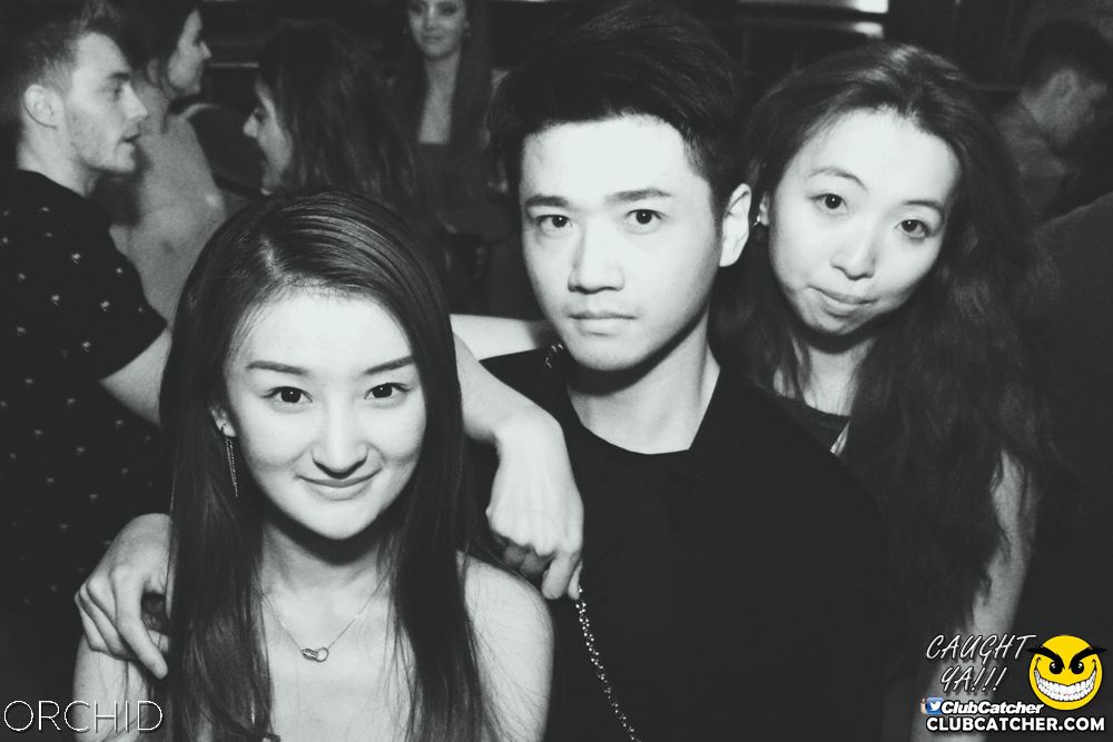 Orchid nightclub photo 67 - June 21st, 2019