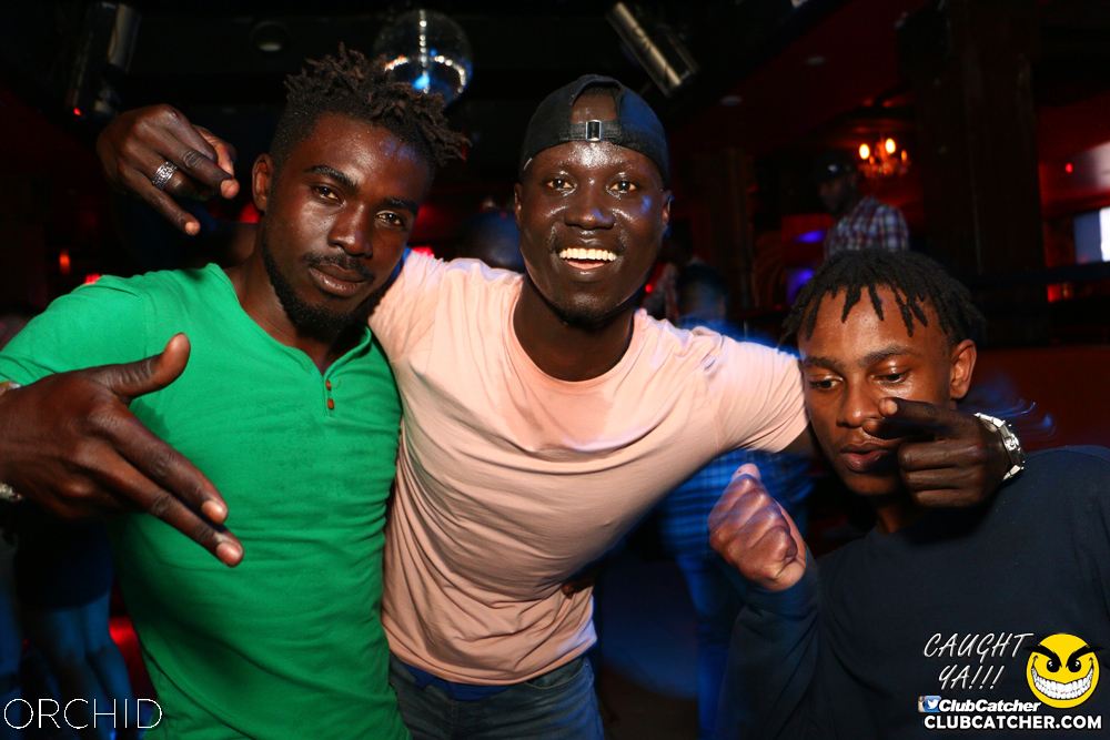 Orchid nightclub photo 69 - June 21st, 2019