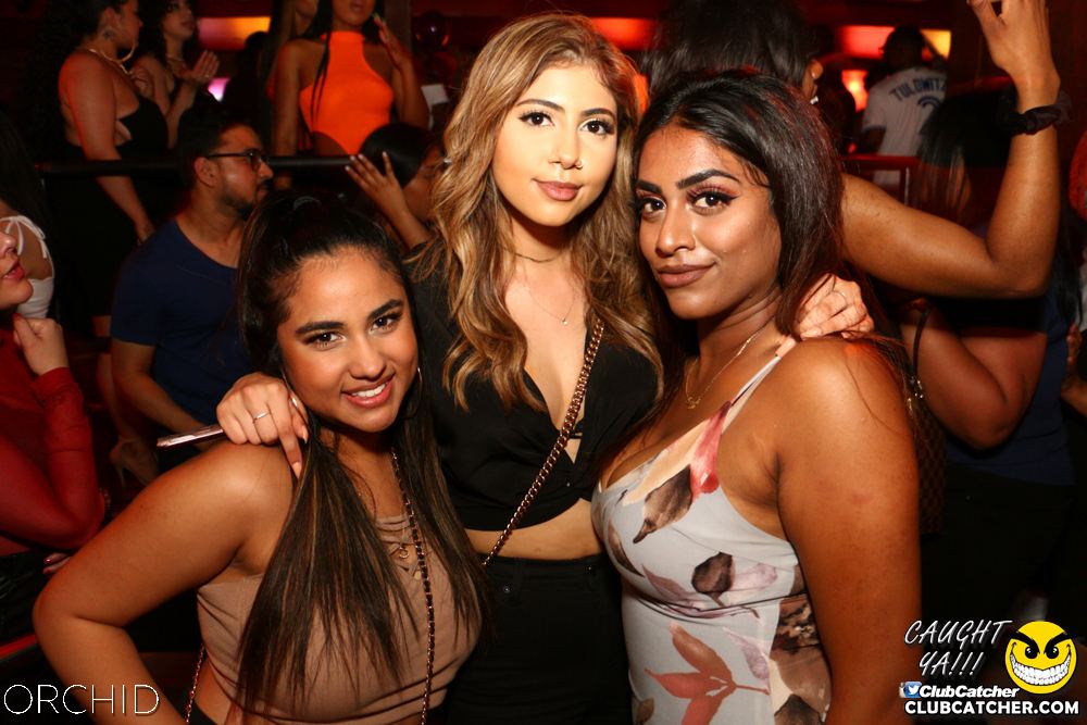 Orchid nightclub photo 8 - June 21st, 2019