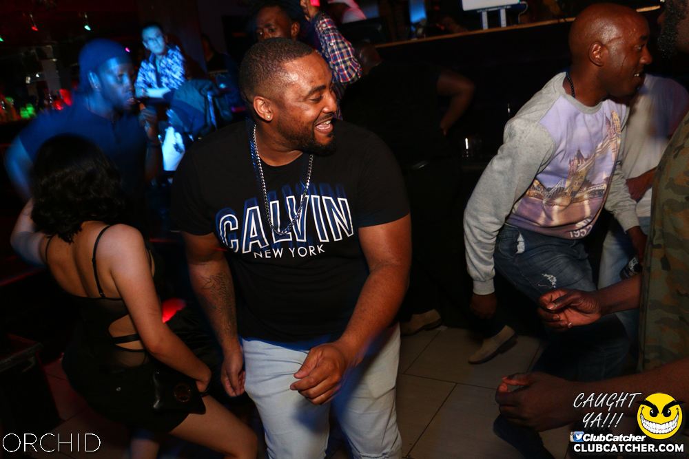 Orchid nightclub photo 72 - June 21st, 2019
