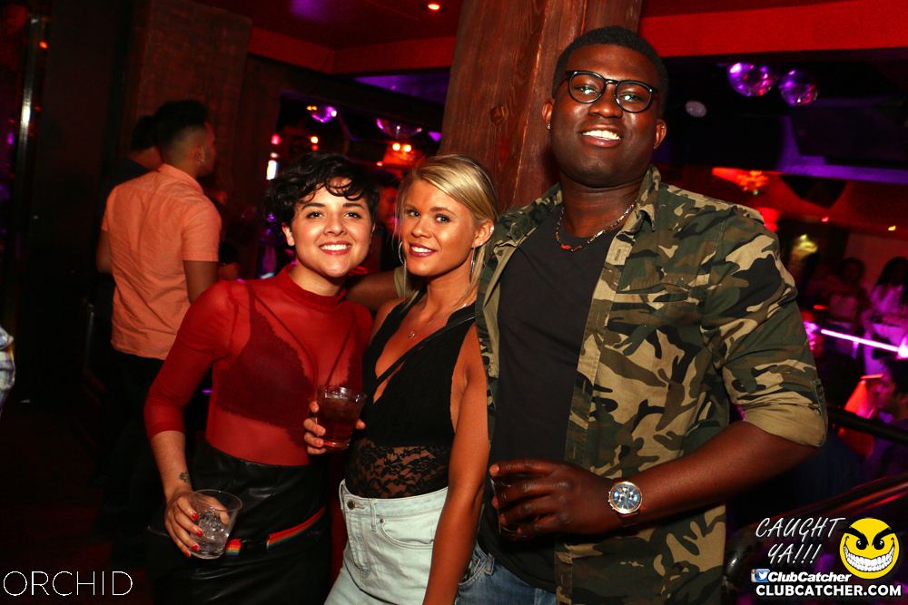 Orchid nightclub photo 73 - June 21st, 2019