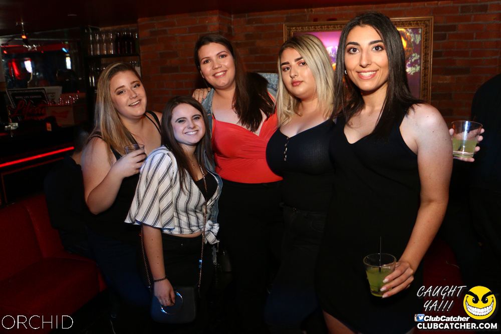 Orchid nightclub photo 74 - June 21st, 2019