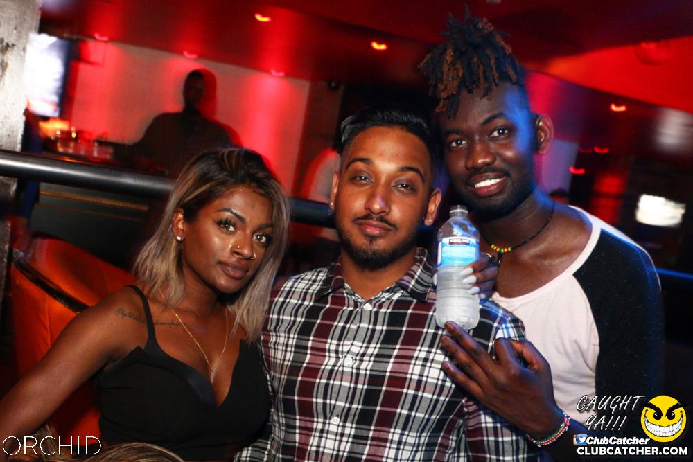 Orchid nightclub photo 76 - June 21st, 2019