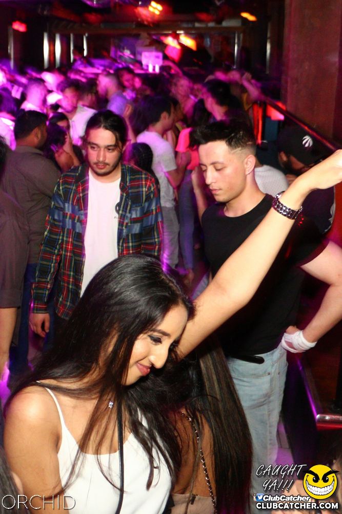 Orchid nightclub photo 77 - June 21st, 2019