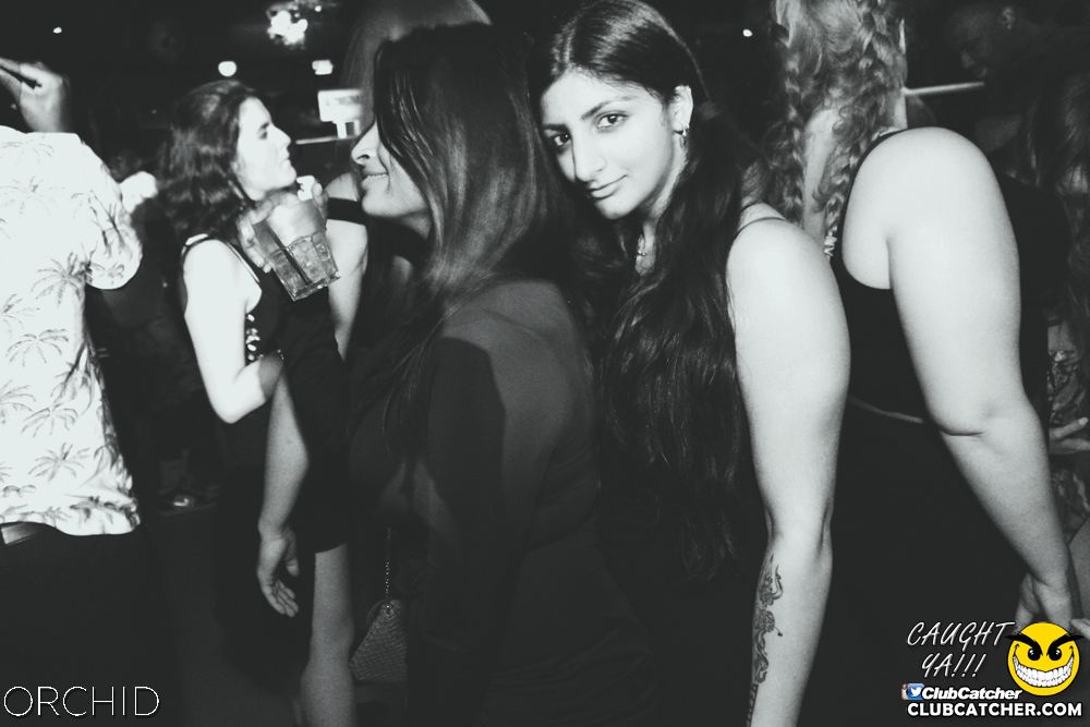 Orchid nightclub photo 78 - June 21st, 2019