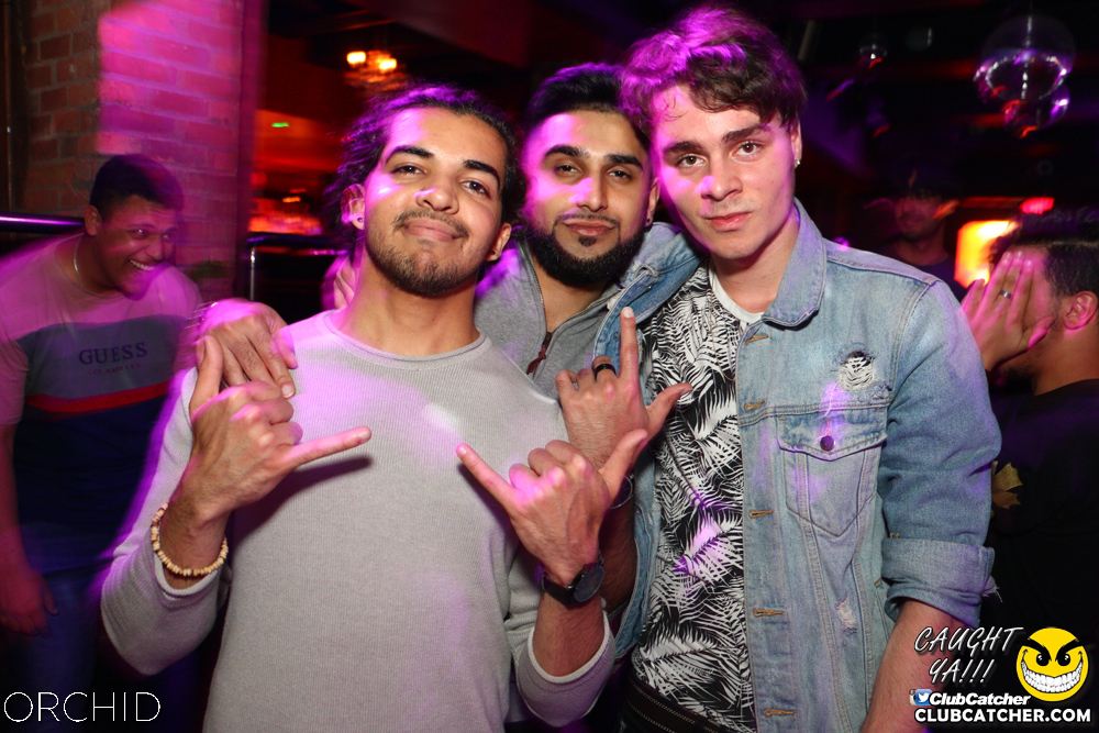 Orchid nightclub photo 79 - June 21st, 2019