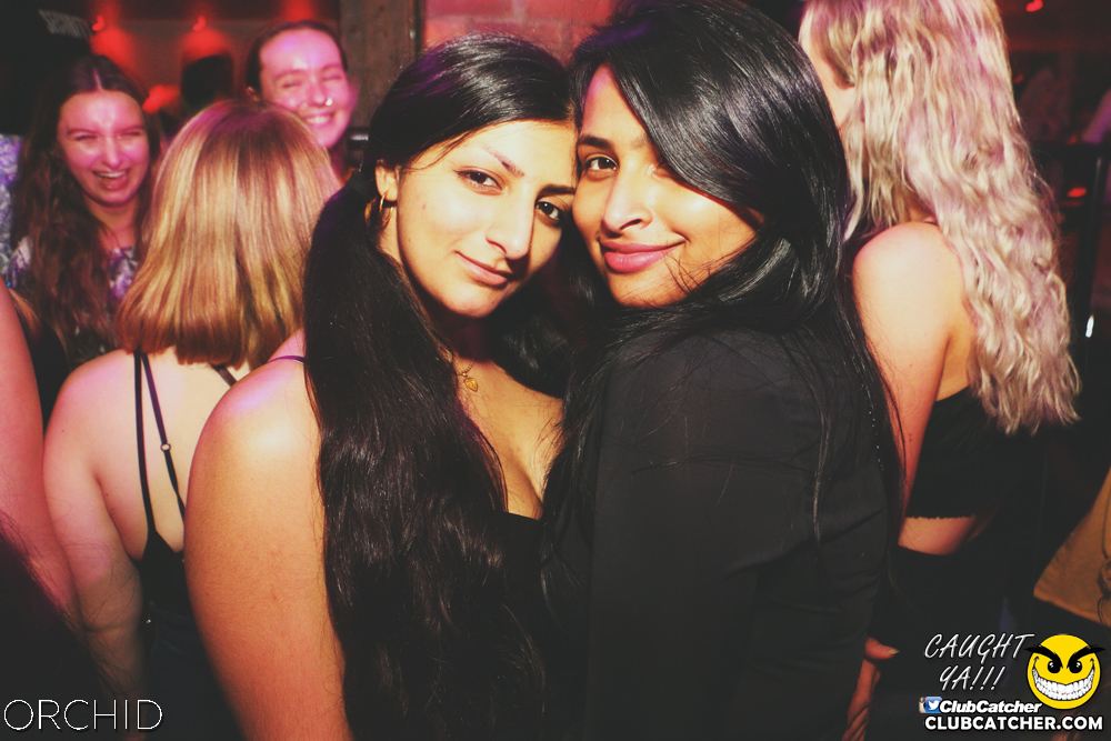 Orchid nightclub photo 80 - June 21st, 2019