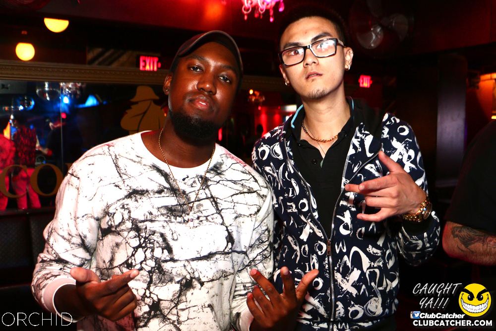 Orchid nightclub photo 9 - June 21st, 2019