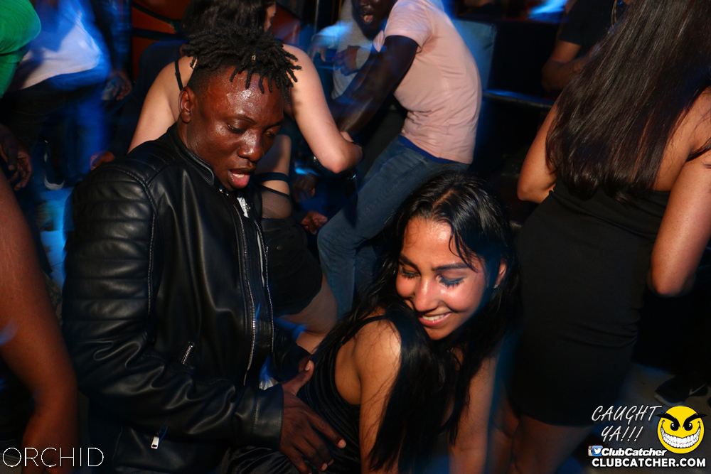 Orchid nightclub photo 82 - June 21st, 2019