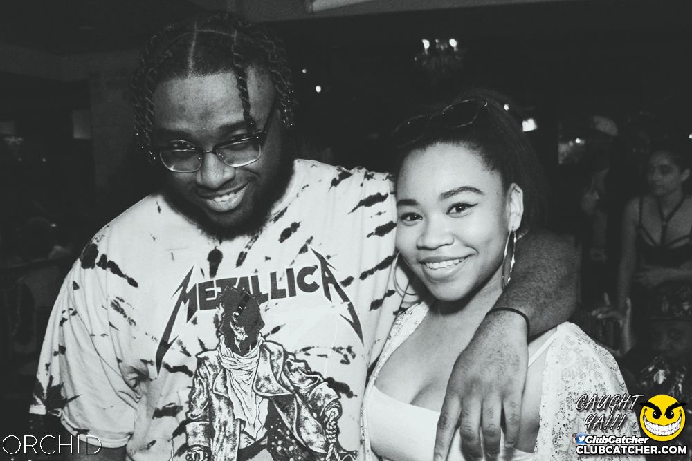 Orchid nightclub photo 83 - June 21st, 2019