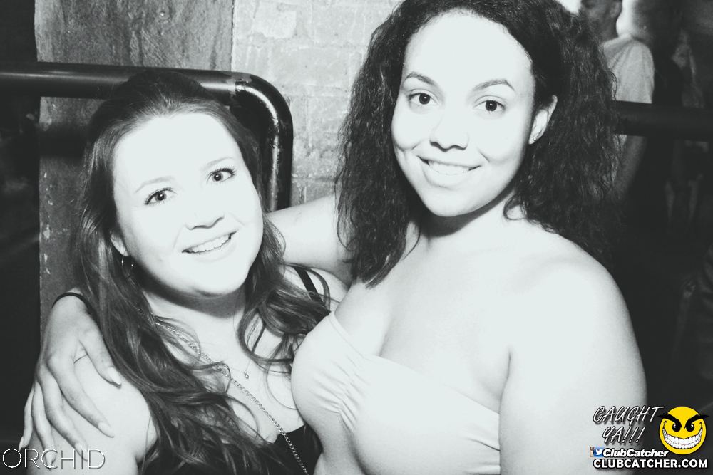 Orchid nightclub photo 84 - June 21st, 2019