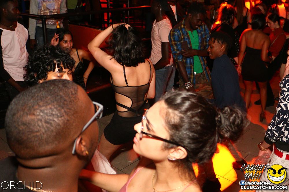 Orchid nightclub photo 86 - June 21st, 2019