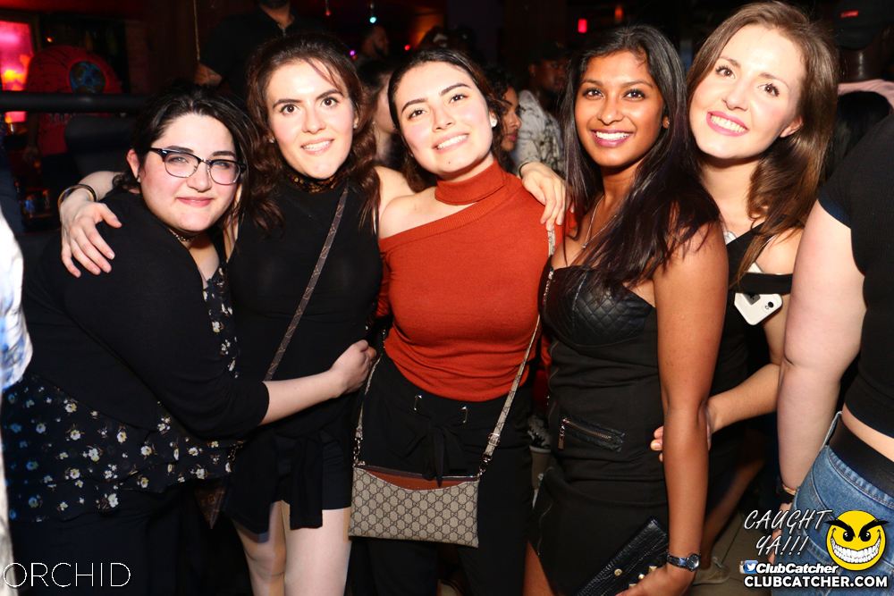 Orchid nightclub photo 10 - June 21st, 2019