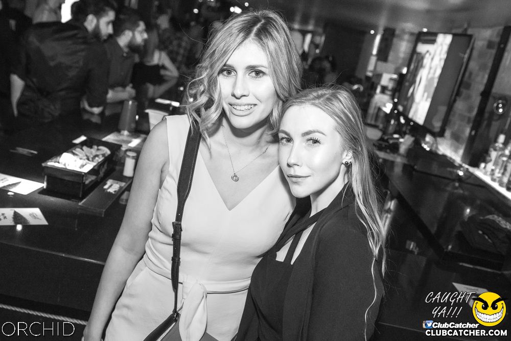 Orchid nightclub photo 106 - June 22nd, 2019