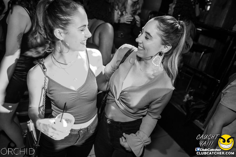 Orchid nightclub photo 108 - June 22nd, 2019