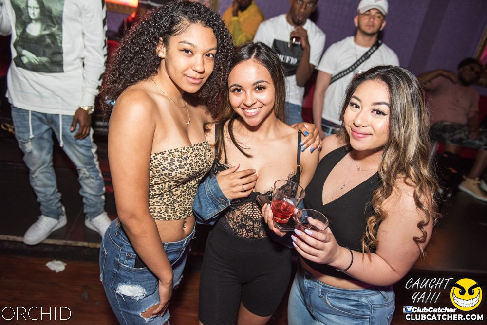 Orchid nightclub photo 109 - June 22nd, 2019