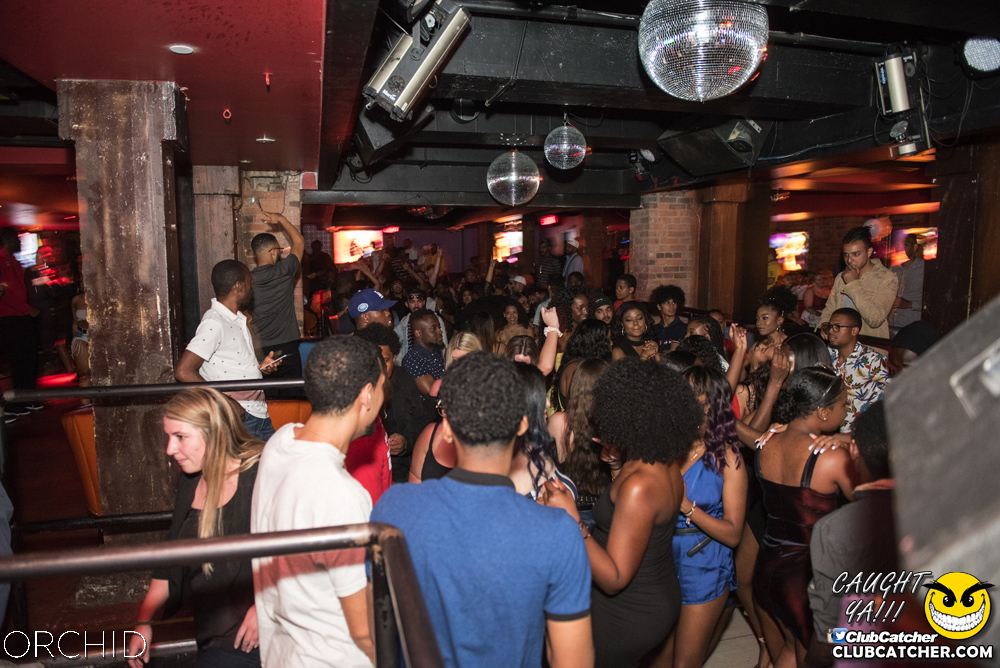 Orchid nightclub photo 115 - June 22nd, 2019