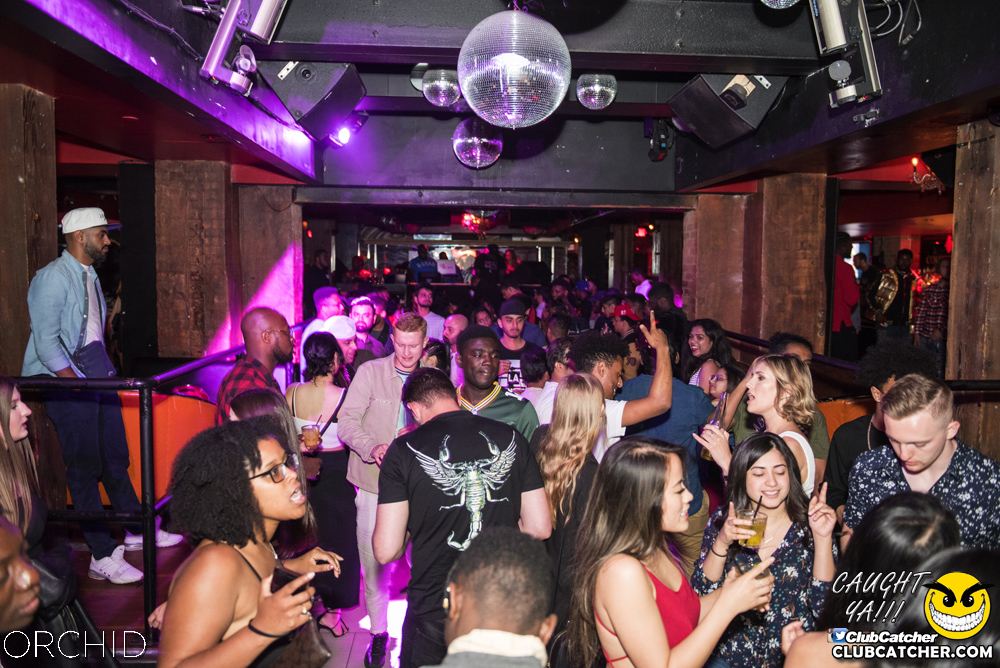Orchid nightclub photo 121 - June 22nd, 2019