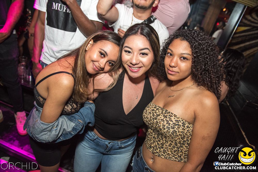 Orchid nightclub photo 125 - June 22nd, 2019