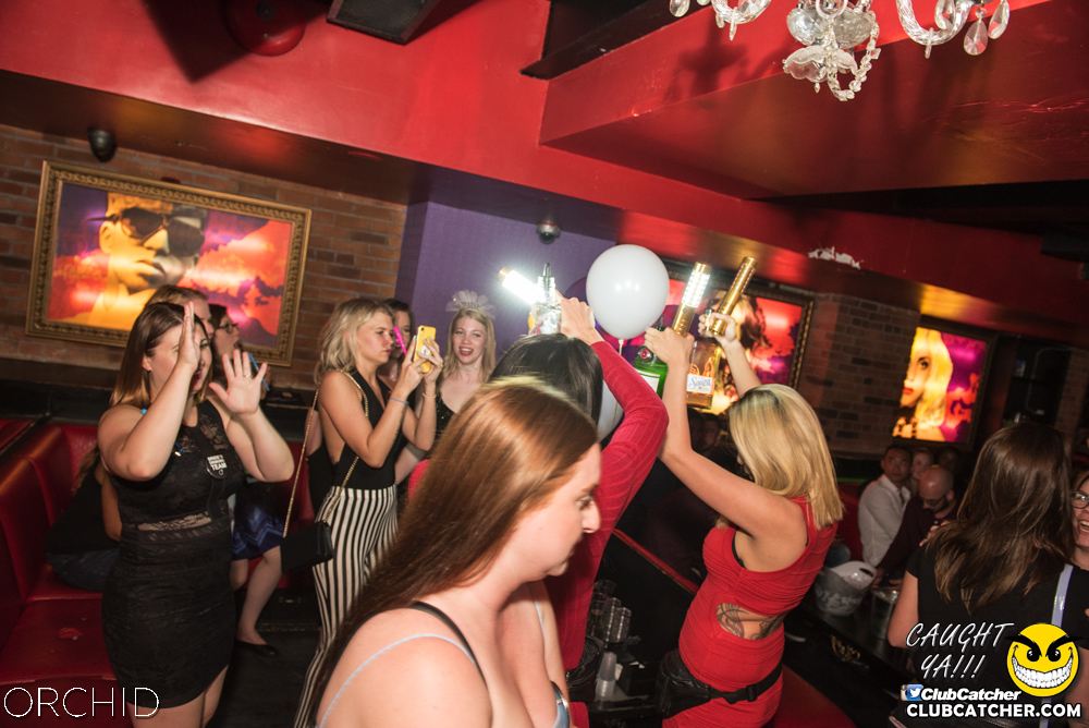 Orchid nightclub photo 134 - June 22nd, 2019