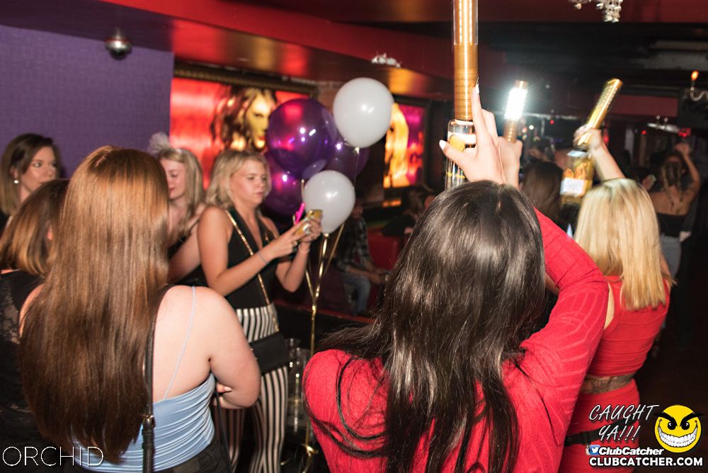 Orchid nightclub photo 138 - June 22nd, 2019