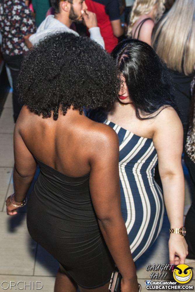 Orchid nightclub photo 143 - June 22nd, 2019