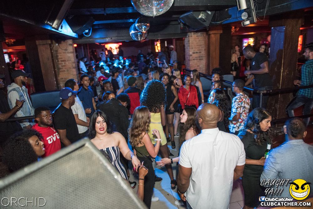 Orchid nightclub photo 157 - June 22nd, 2019