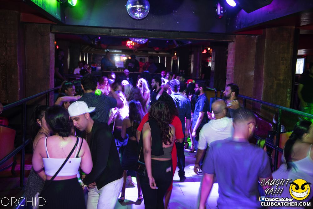 Orchid nightclub photo 159 - June 22nd, 2019
