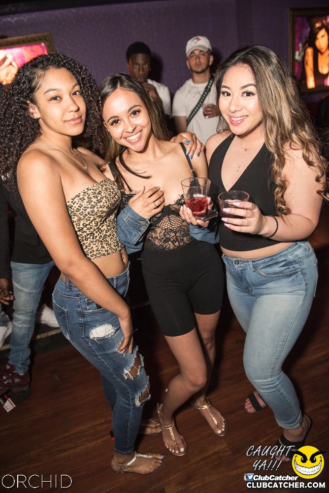 Orchid nightclub photo 163 - June 22nd, 2019