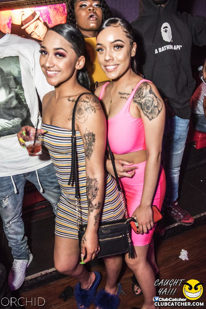 Orchid nightclub photo 164 - June 22nd, 2019