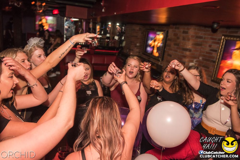 Orchid nightclub photo 19 - June 22nd, 2019