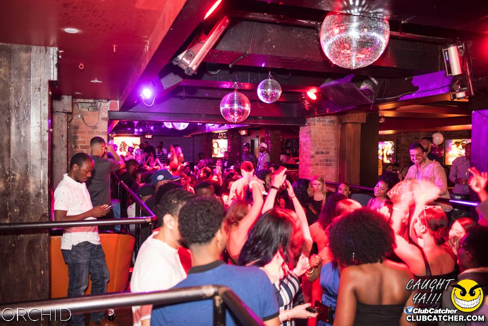Orchid nightclub photo 20 - June 22nd, 2019