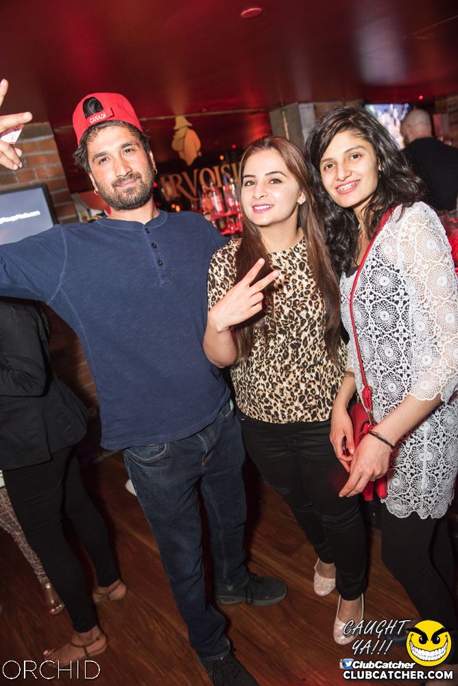 Orchid nightclub photo 21 - June 22nd, 2019