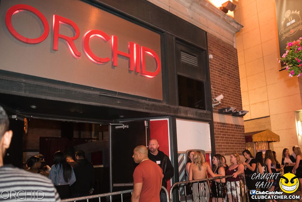 Orchid nightclub photo 36 - June 22nd, 2019