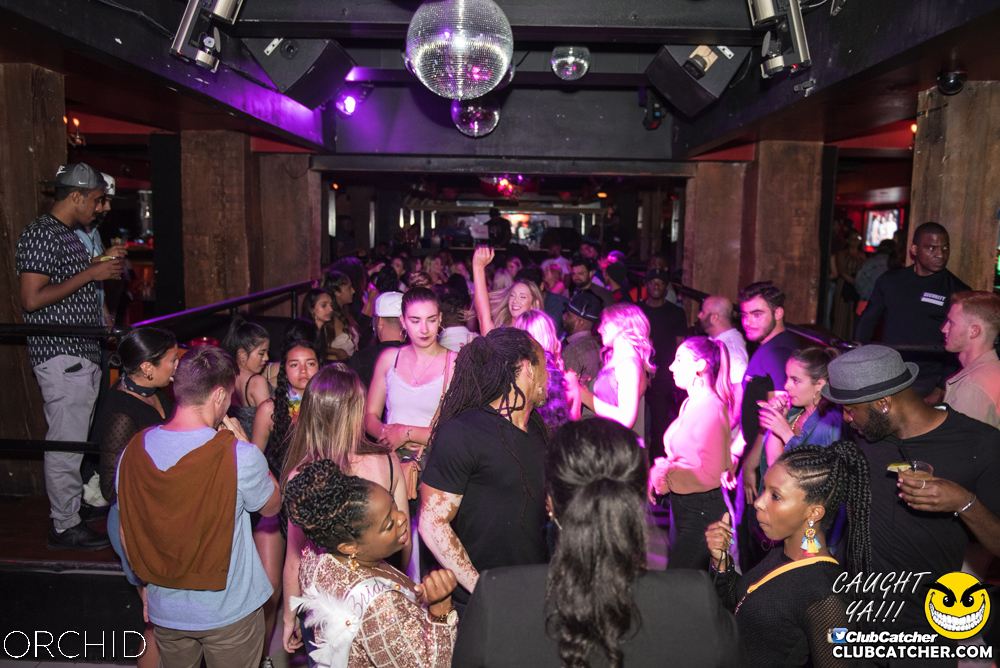 Orchid nightclub photo 42 - June 22nd, 2019