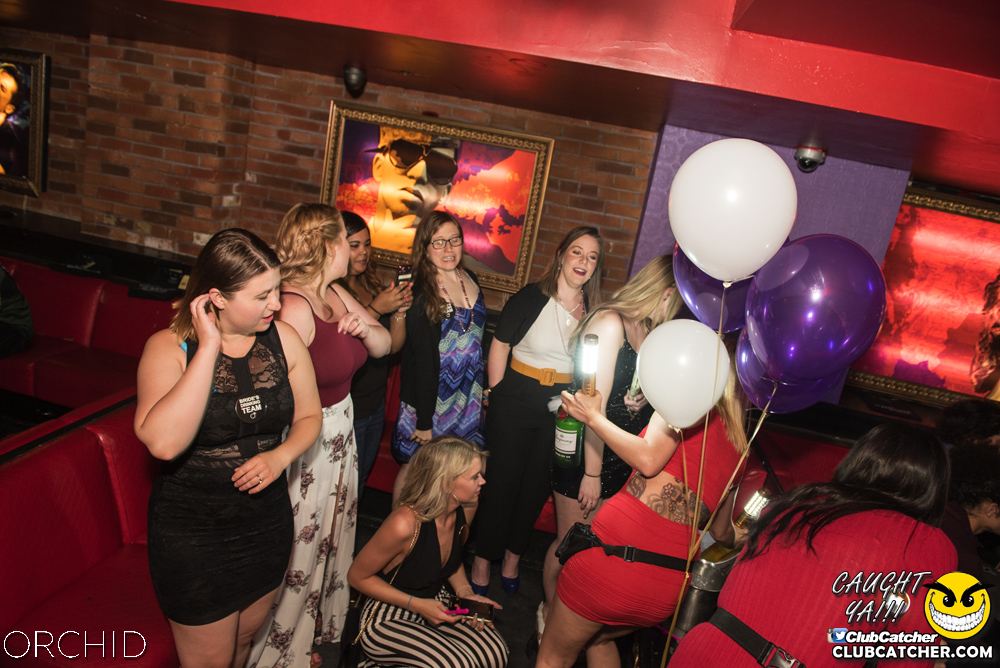 Orchid nightclub photo 45 - June 22nd, 2019