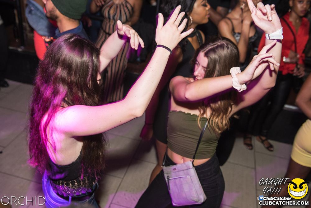 Orchid nightclub photo 48 - June 22nd, 2019