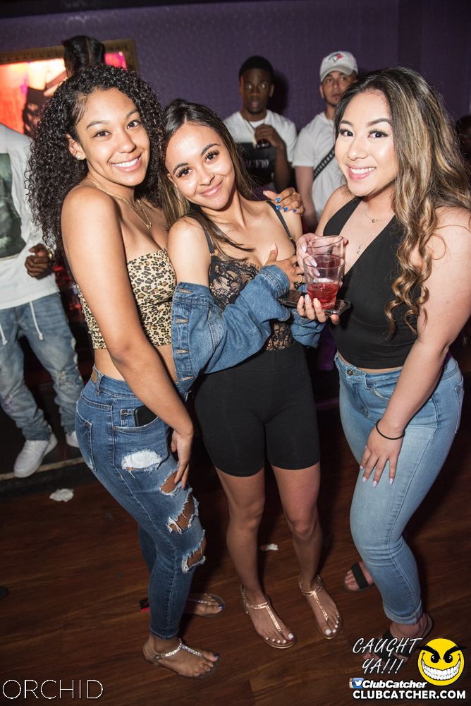 Orchid nightclub photo 6 - June 22nd, 2019