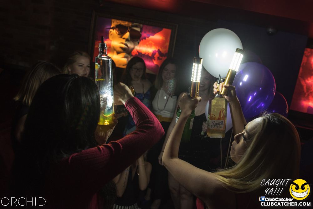 Orchid nightclub photo 51 - June 22nd, 2019