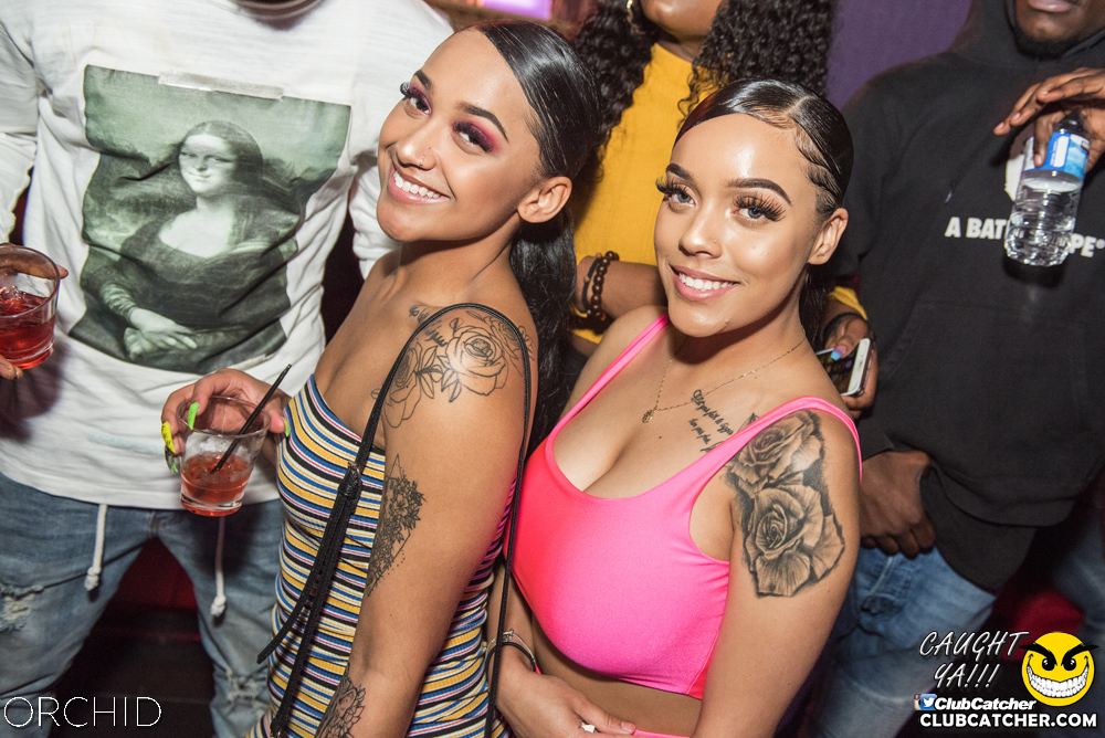 Orchid nightclub photo 7 - June 22nd, 2019
