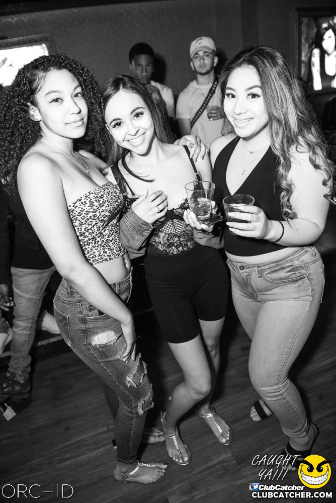 Orchid nightclub photo 66 - June 22nd, 2019
