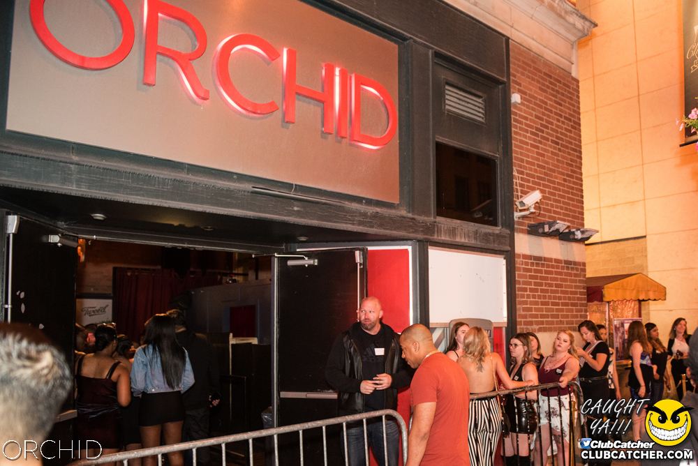 Orchid nightclub photo 72 - June 22nd, 2019