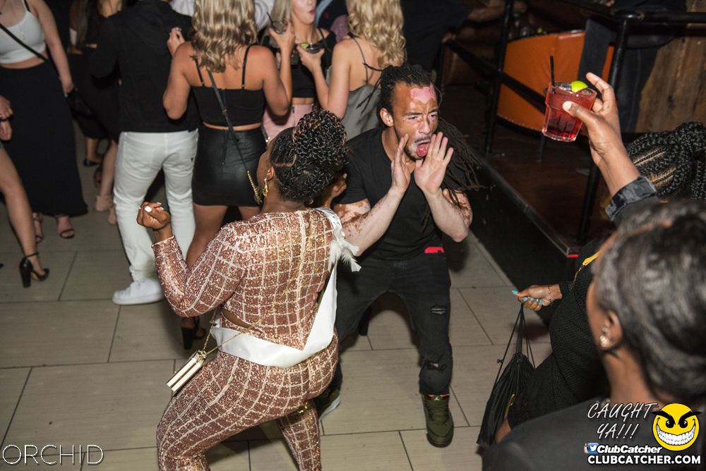Orchid nightclub photo 75 - June 22nd, 2019