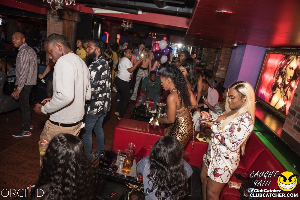 Orchid nightclub photo 77 - June 22nd, 2019