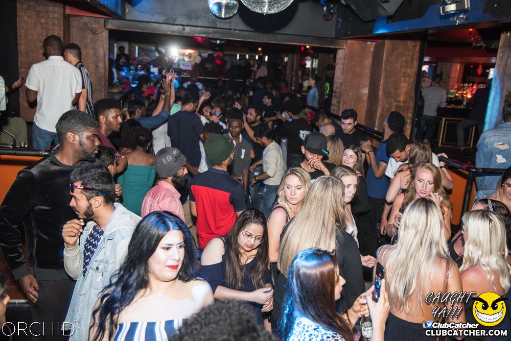 Orchid nightclub photo 81 - June 22nd, 2019