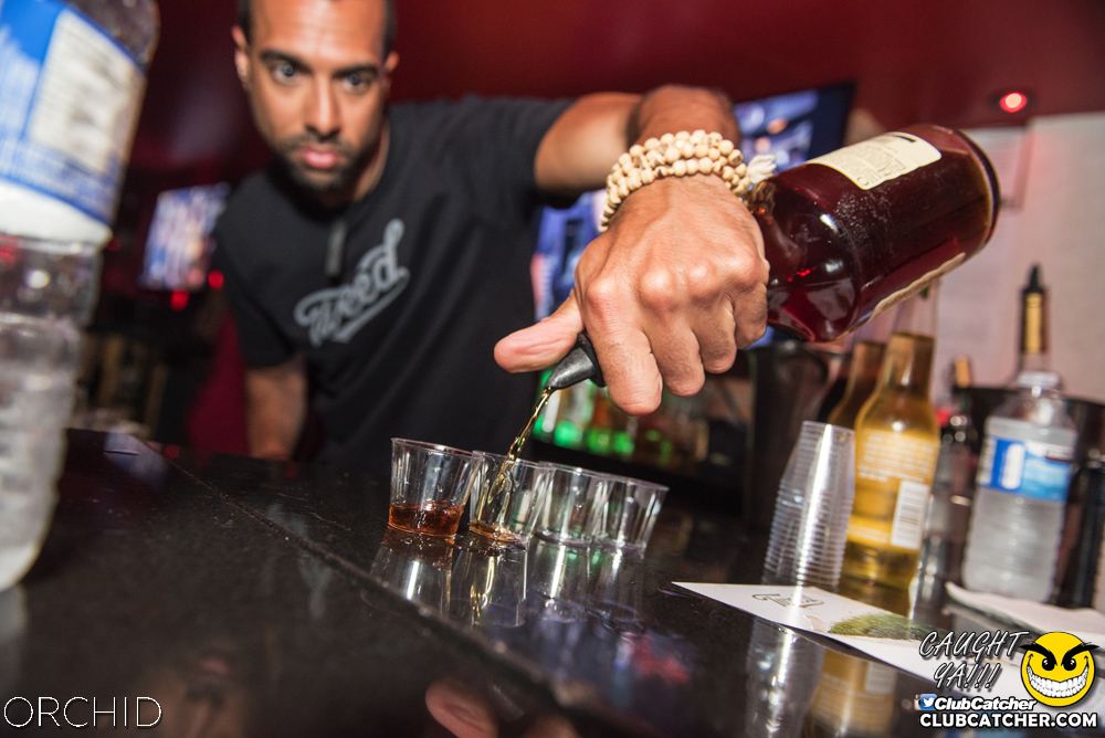 Orchid nightclub photo 83 - June 22nd, 2019