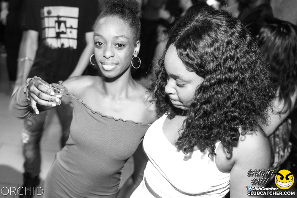 Orchid nightclub photo 91 - June 22nd, 2019