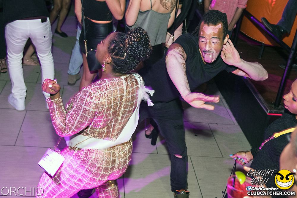 Orchid nightclub photo 100 - June 22nd, 2019