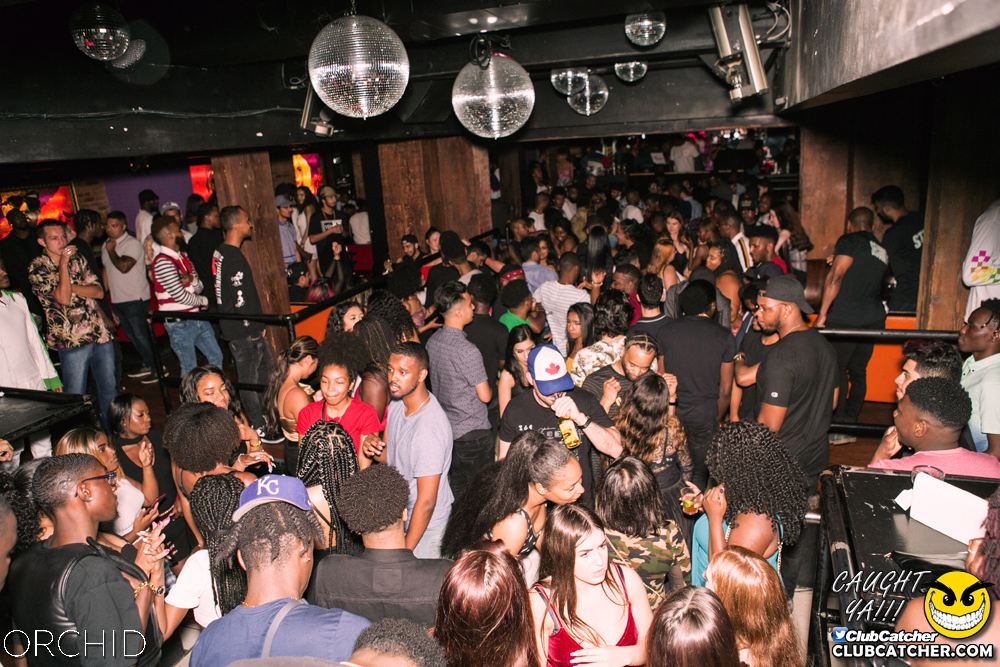 Orchid nightclub photo 1 - June 29th, 2019